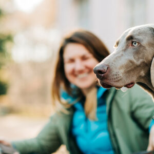 Onlinetraining Entspannter Hund